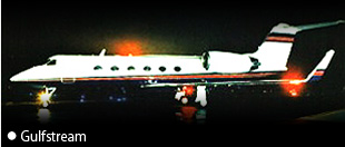 チャーターの飛行機画像